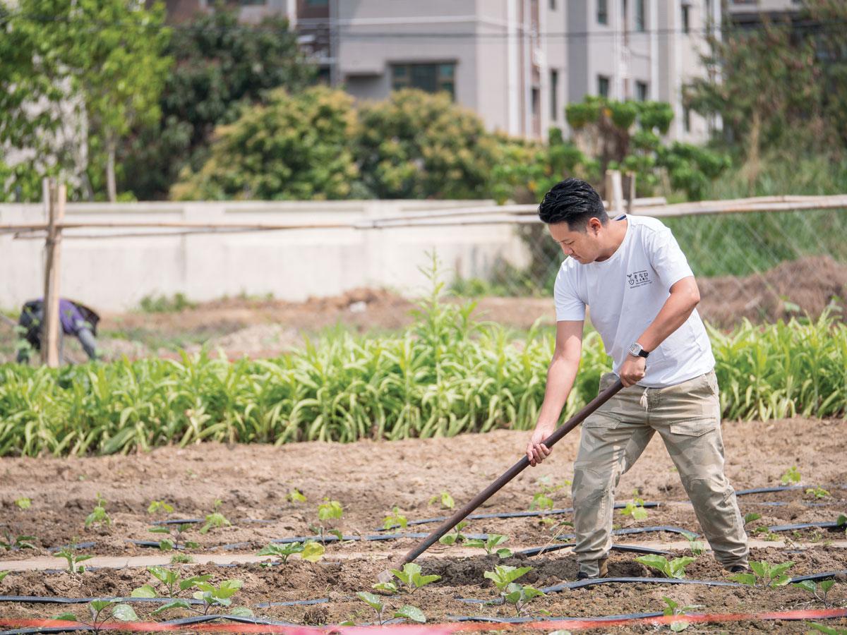 Planting a seed Planting a seed